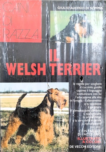 Welsh terrier cani di - welsh,