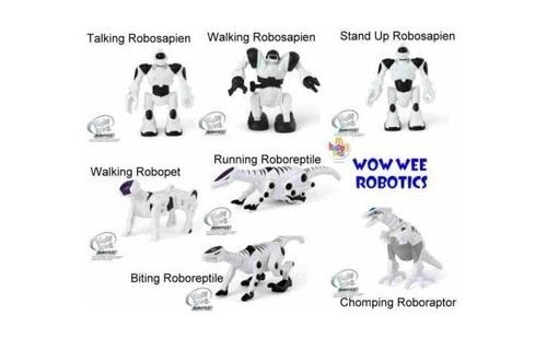 2007 wow wee robotics - wow,