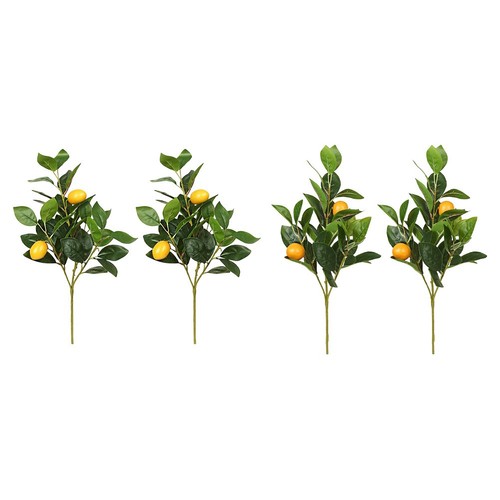 Set limoni vivaci - set, 2