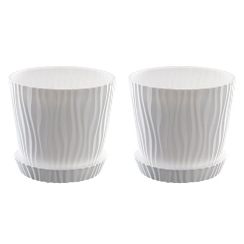 Sets piantina grassa - , 2