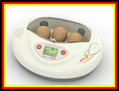 Incubatrice rcom mini - incubatrice,