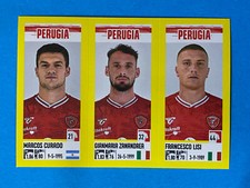 Figurine Calciatori Panini