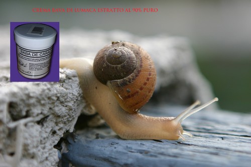 Crema corpo all bava di - corpo,