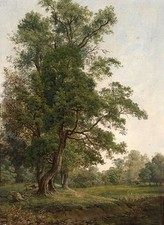 Nice Oil painting tree in
