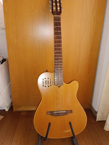 Riduzione prezzo godin multiac - riduzione,