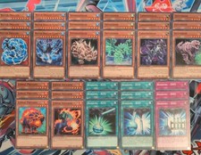 33cd Bastion Water Dragon &