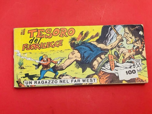Ragazzo nel far - nel, west
