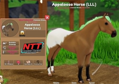 Wild horse islands - horse,
