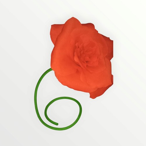 Fiore gigante fatto mano - fiore,