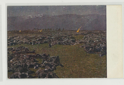 Militari ww1 - militari,