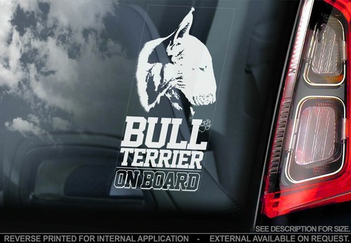 English bull terrier car - english,