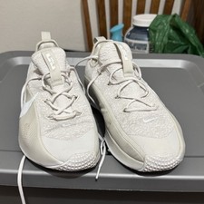 Nike Lebron TR1 Phantom