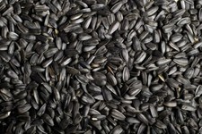 semi singoli di GIRASOLE NERO