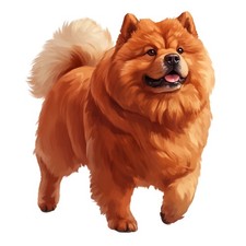 3 adesivi Chow Chow adesivi