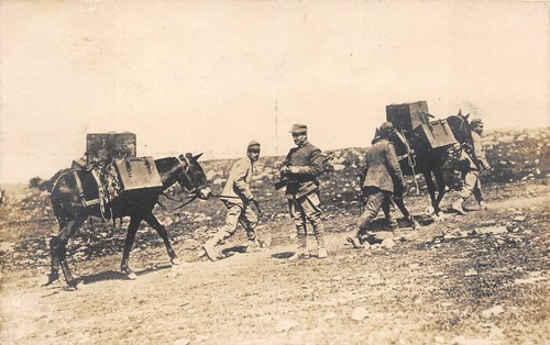 A4258 ww1sei busi muli - a4258,