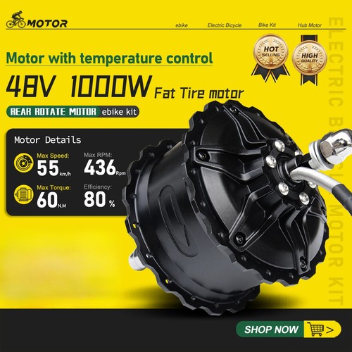 Mozzo posteriore brushless