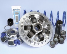 241.703 VARIATORE POLINI