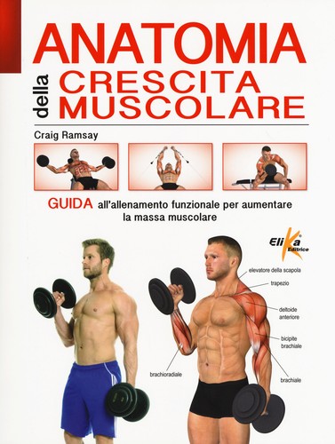 Anatomia della crescita