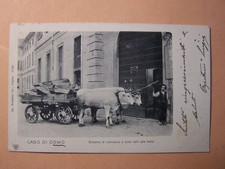 Lago di Como  (Como - Lecco)  Cartolina d'epoca - Formato piccolo