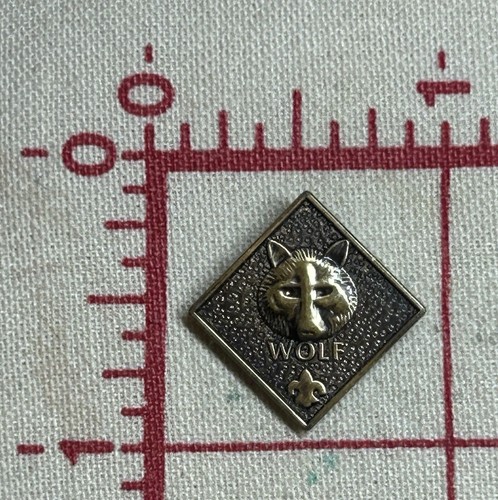 Ragazzo scout america bsa - of,