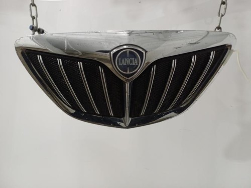 Calandra lancia musa - calandra, 2