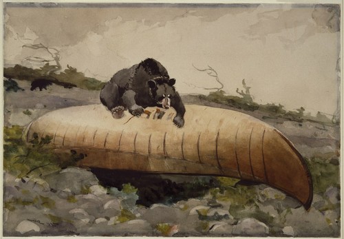Orso canoa winslow homer - homer,