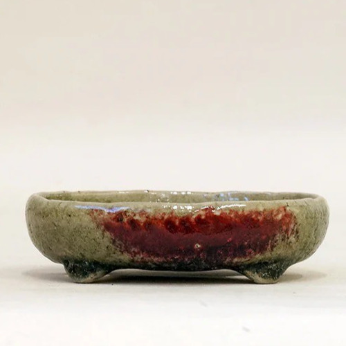 Vaso bonsai giapponese