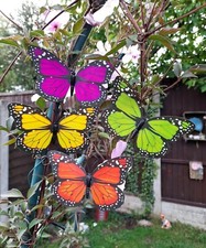 Farfalle colorate luminose
