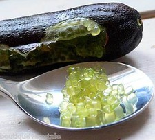 Semi Di Limone Caviale -