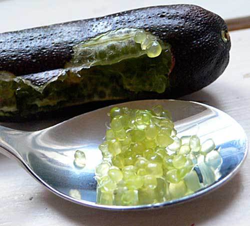 Semi limone caviale - semi,
