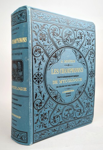 Moyen les champignons - les,