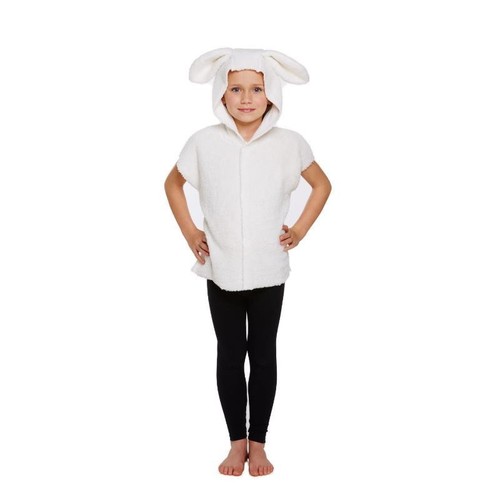 Costume vestito fantasia