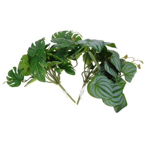 Pcs foglie rettile - ,