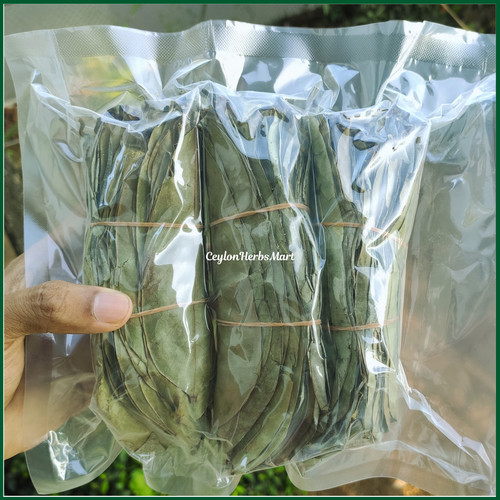 Foglie soursop essiccate - di,