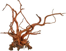 Legno Red Spider King - Taglia