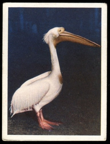 Tobacco card utc - tobacco, card,