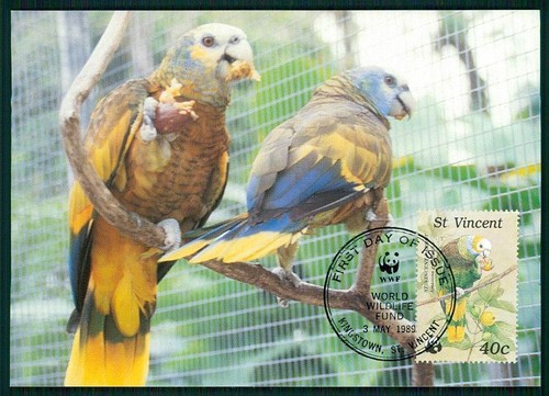 San vincent wwf fauna - vincent,