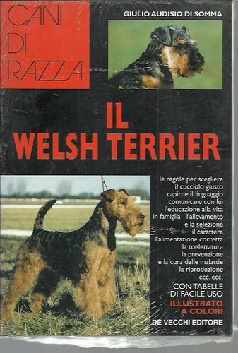 Welsh terrier - welsh,