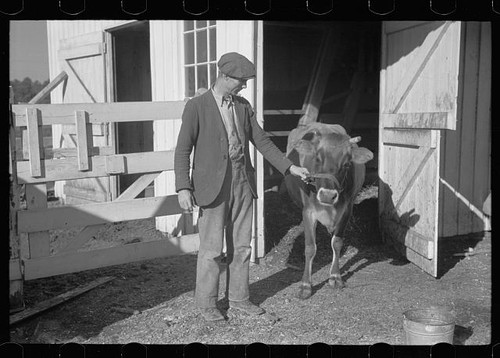 Penderlea farms north carolina - penderlea,