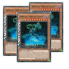 3x IMMORTALE TERRESTRE