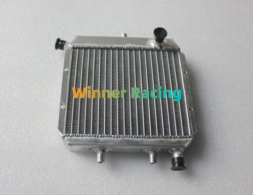 🥇Radiatore alluminio adatto