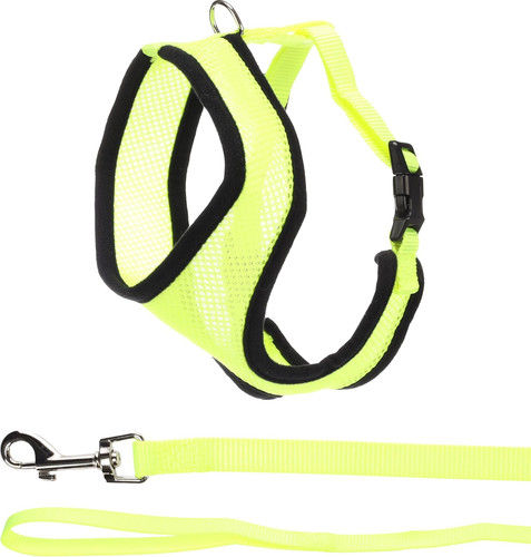 Gatto pettorina con guinzaglio - con,
