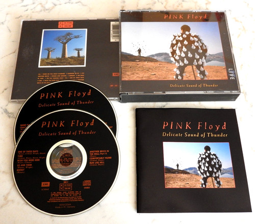 Pink floyd delicate - sound, of