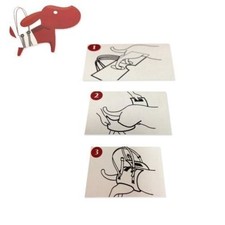 Supporto veterinario cane - veterinario,