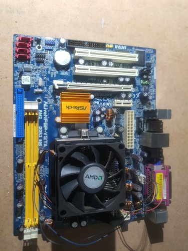 Scheda madre asrock - scheda,