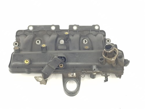 55231284 collettore