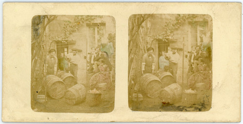 Stéréo des vignerons - des,