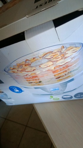 Essicatore elettrico alimenti - elettrico,