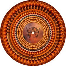 Muse - Will of the People