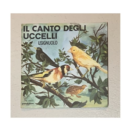 Canto degli uccelli - il,